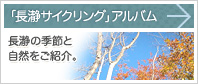 「長瀞サイクリング」アルバム：長瀞の季節と自然をご紹介。